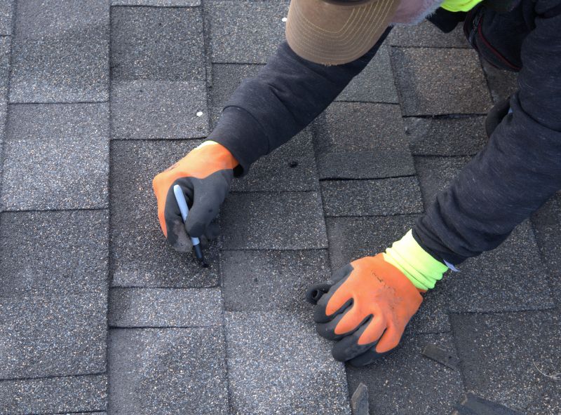 Shingle Restoration Work