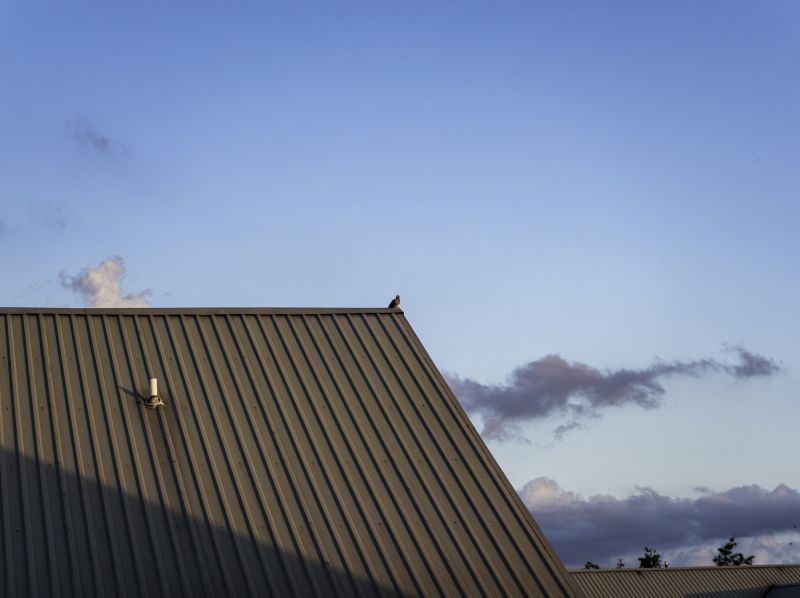 Metal Roof Replacement detail